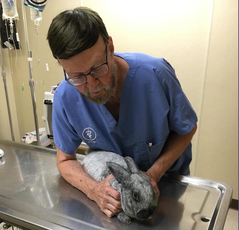 Exotic Pet Care in Normal IL